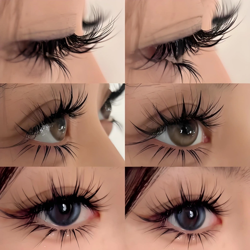 Hybrid Lashes2_.webp